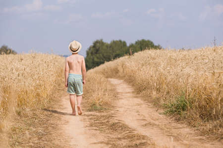 Back view on cute kid boy in straw hat walking along countryside road and holding bunch of wild flowers on sunny summer day. Barefooted Child in the golden wheat field. Lifestyle conceptの写真素材