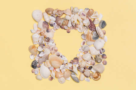 Sea shells frame with space for text on yeallow background.の写真素材