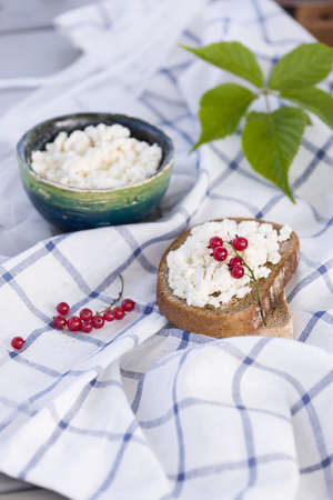 Organic Farming Cottage cheese in a green bowl, slice of whole wheat bread with Homemade Ricotta cheese served with red currant on wooden board  on linen fabricの写真素材