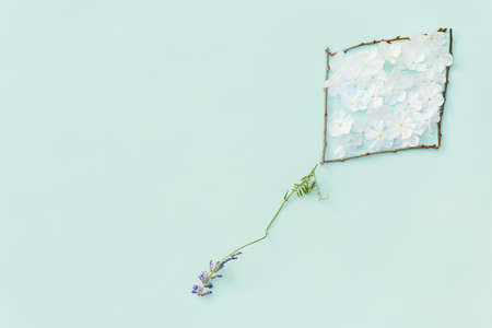 flying kite made of white flowers petals and tree's twigs on blue background. Flat lay.