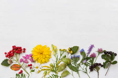 Top view on rainbow of different summer flowers and berries on white wooden background.の写真素材