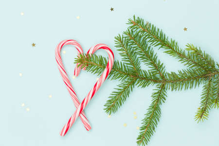 Top view on Christmas tree branch with nice round decoration on blue background. Holiday  season...