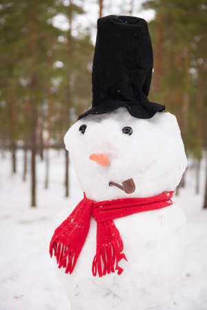 Portrait of funny handmade snowman with top hat, pipe and red scarf. Winter forest background.の写真素材