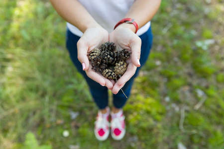 Top view on woman's hands full of pine cones.の写真素材