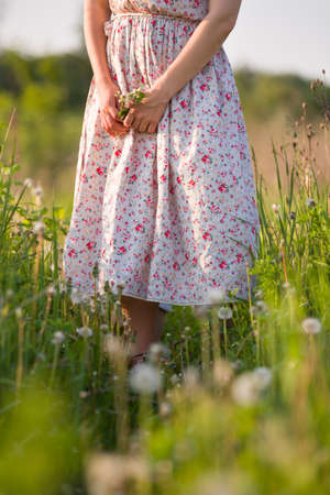 Woman on the flower meadow on a sunny summer day. Closeup of woman's hands holding wild flowers. Girl in nice dress walking in the green field. Outdoors. Lifestyle and happiness concept.の写真素材
