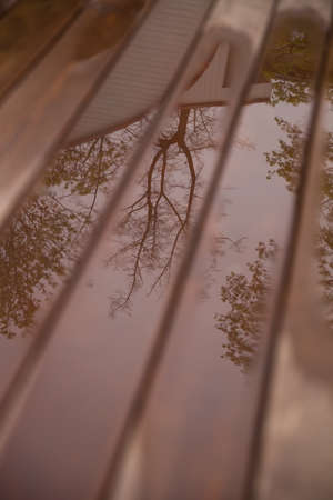 Top view on wet wooden floor with nature reflections on it.の写真素材