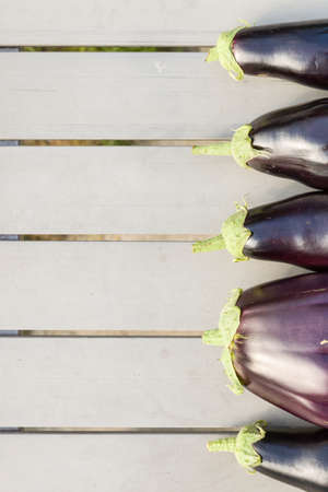 Closeup of big organic eggplants in a row on a grey table. Farming and gardening. Healthy food conceptの写真素材