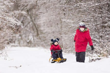 Two siblings walking in a winter park. Children outdoors. Brother pulling sled with a toddler boy...