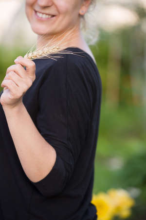 closeup of woman's hands holding bunch of golden ears of wheat. Harvest. Summer. Farming.の写真素材