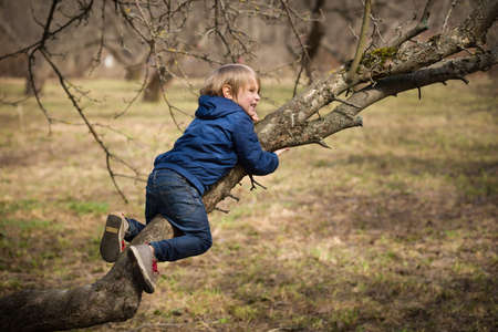 Cute kid boy sitting on the big tree in the park on a spring or summer day. Child climbing the tree in the city garden. Active boy walking in the park.の写真素材