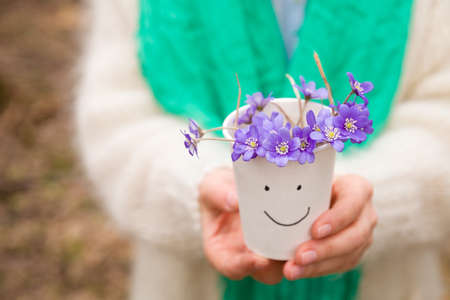 Woman holding beautiful snowdrops in a paper cup. first spring flowers in a forest. Wild flowers. spring concept.の写真素材