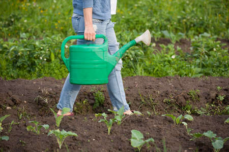 Woman watering plants in garden. Girl with green watering can. Gardening and agriculture concept.の写真素材