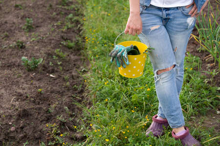 Woman with yellow metal bucket and working gloves standing in the garden. Girl planting. Gardening and agriculture concept.の写真素材