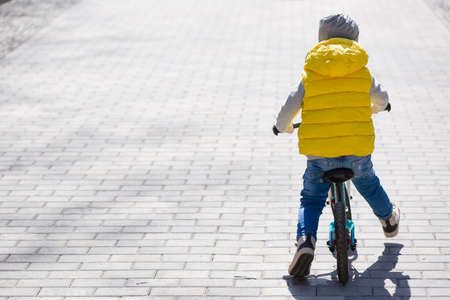 Back view on cute toddler boy riding his bike. Child on bicycle in the park.の写真素材