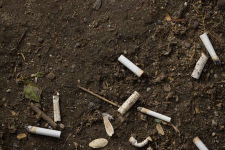 Top view on cigarette butts in the soil