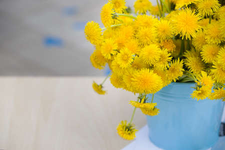 Closeup of blue metal bucket full of bright yellow dandelions. Flowers in vase. Summer. Outdoorの写真素材