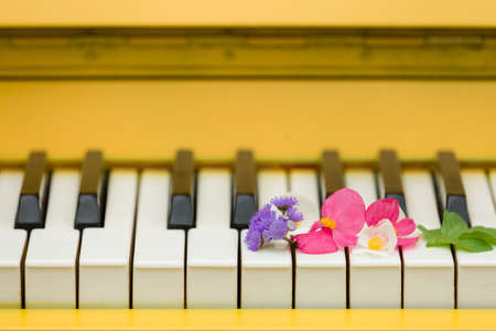Closeup of musician hands playing on yellow piano's keys with bright flowers. Music conceptの写真素材