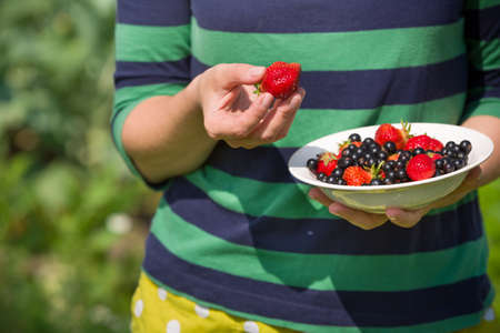 Closeup of woman's hands holding bowl with freshly picked organic raspberries, strawberries and black current berries on a sunny summer day. Girl eating berries. Healthy eating.の写真素材