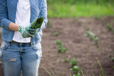 Closeup of woman's hands in gardening gloves holding garden tools: spade and rake. Working in the gaden planting. Lifestyle.の写真素材