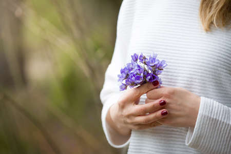 Closeup of woman's hands with small bunch of beautiful blue snowdrops. Spring mood. Girl with flowers.の写真素材