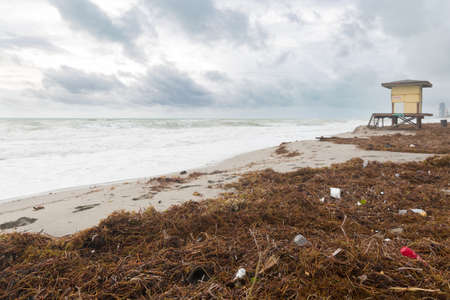 Beach with trash and seaweed. Plastic garbage washed up on the shore of the ocean or seaの写真素材