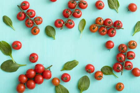 Top view on fresh organic cherry tomatoes with small basil leaves on turquoise background. Healthy food and eating concept.の写真素材