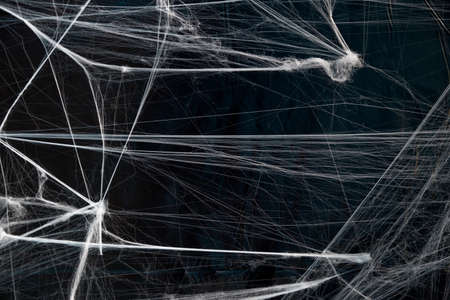 A tangled horror wet decorative spider web on black backgroundの写真素材