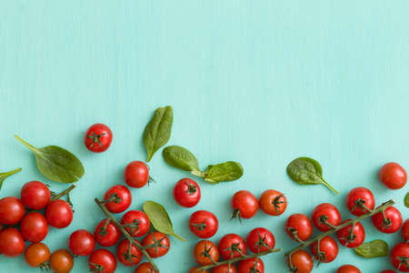 Top view on little bunches of organic tomatoes with fresh basil leaves on turquoise wooden background.の写真素材