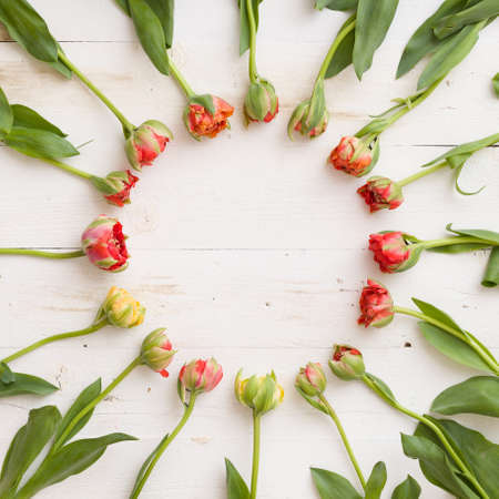 Top view on beautiful circle shape made of spring tulip flowers.の写真素材