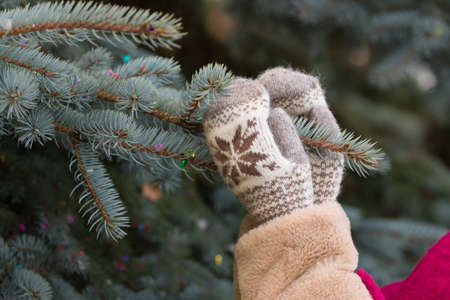 Young woman decorating Christmas tree outdoors. Closeup of hands in mittens with Christmas decor. Christmas and winter concept.の写真素材
