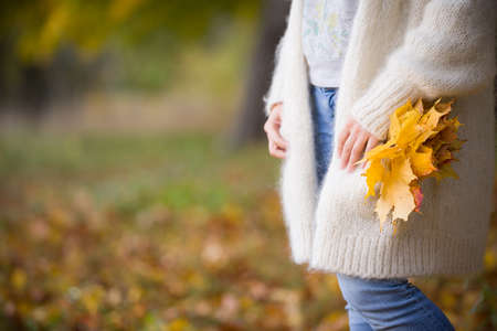 Closeup of woman's hands holding beautiful bunch of bright autumn maple tree leaves in the park on a...