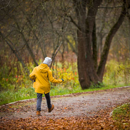 Closeup of back view on walking little child. Kid boy walking in the park on autumn day. Countryside lifestyle conceptの写真素材