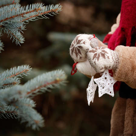 Closeup of a young woman holding in her hands decorations for a Christmas fir in the shape of stars. Decorated Christmas tree. New Year and Christmas conceptの写真素材