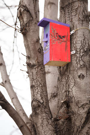 Handmade birdhouse attached to a tree. A painted empty birdhouse is waiting for its occupants.の写真素材