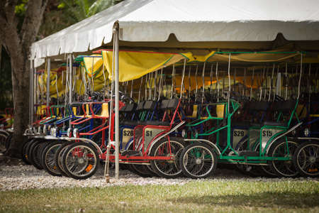 Parking for surrey bicycles in oldest the zoo Miami. Family bicycles for four people are waiting for a trip through a huge zoo park with wild animals.の写真素材