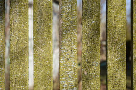 Closeup of old wooden fence boards. Aged wooden plank fence from flat boards. Copy space