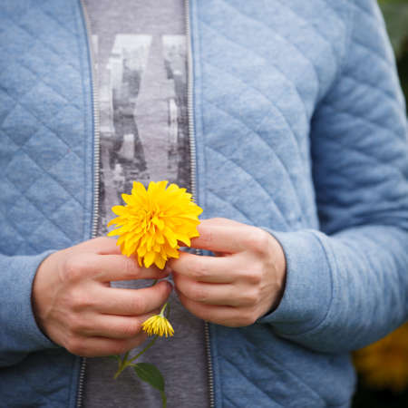 Closeup of the hands of a girl with a huge flower of yellow chrysanthemum. Spring conceptの写真素材