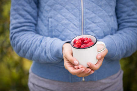 The girl is holding a cup with organic raspberries. A young woman picked raspberries in a summer...