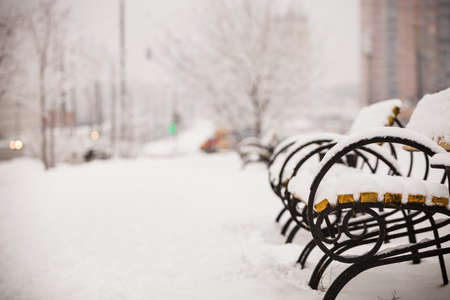 Benchs and trees in the city park covered by heavy snow. Lots of snowの写真素材
