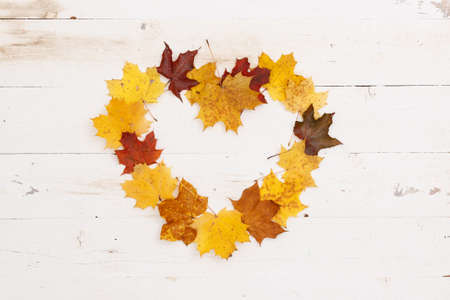 Many multi-colored maple leaves lie on a white wooden table. In the center is copy space, a frame in the shape of a heart. Autumn conceptの写真素材