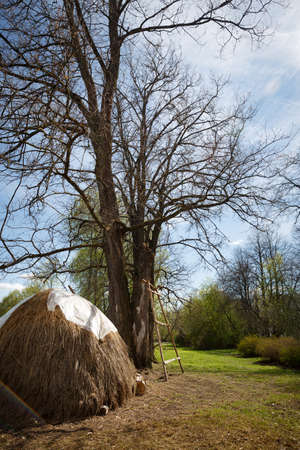 Haystack in the courtyard of a country house. A sunny landscape with a haystack in a farm in the Russia. The concept of agriculture. Summer, rural landscape.の写真素材