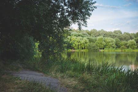 Evening landscape on the lake with green grass along the edge and a place for relaxation, picnic or fishing. Forest and evening sky in the background. Rural landscape. Toning and artificial noiseの写真素材