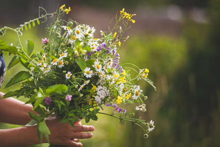 Close-up of a girl holding beautiful garden flowers in her hand. Summer bouquet in the girl's hand. The spring garden is real. Sunlight in the garden. Woman with a bouquet of flowers. Farm.の写真素材