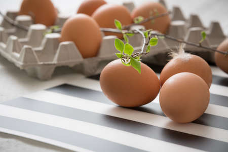 Light brown eggs on a striped background with eggs in a corton box in the background. Sprig with...
