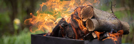 Old barbecue grill with burning wood logs. Open fire from a metal box. Snack in the open air in a natural park. Wide viewの写真素材