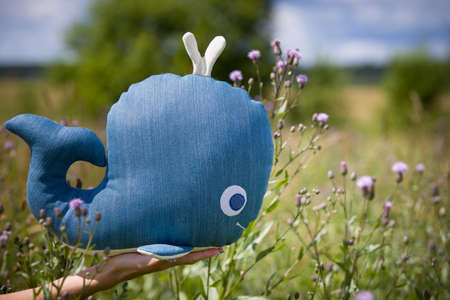The girl holds a beautiful handmade whale on her hand. Girl in a field on a warm summer day with wildflowers in the background.の写真素材