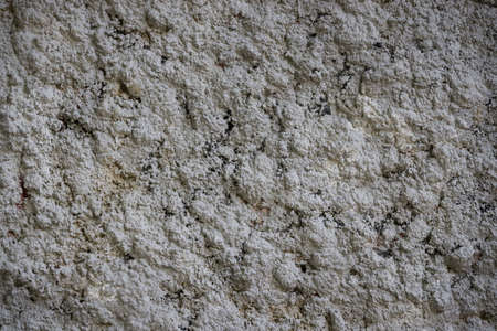 Part of the gray wall texture. Old stone wallpaper. Painted wall with cement sand on a textured background. Abstract web banner.の写真素材