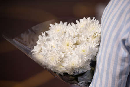 Bouquet of white chrysanthemums. Close-up of white flowers in the hands of a man in a striped shirt...