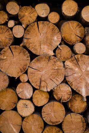 Cross section of the timber, cut trees, firewood stack for the background. Close up pile of logs...
