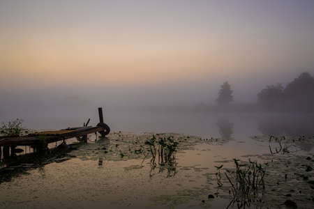 Fog on the river in a very early morning without sun. Fishing bridge for boat and lily with yellow buds in the early morning with thick fog on the river at dawn.の写真素材
